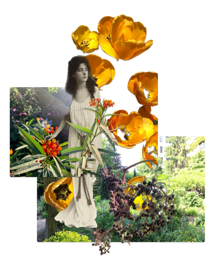 IMG_7336.png