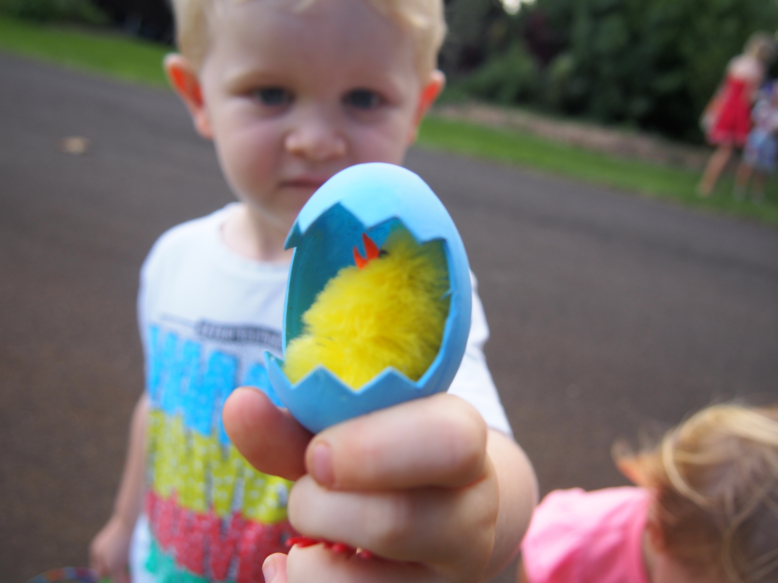 Kids searched for chocolate amongst the verge edibles but found chickens instead!