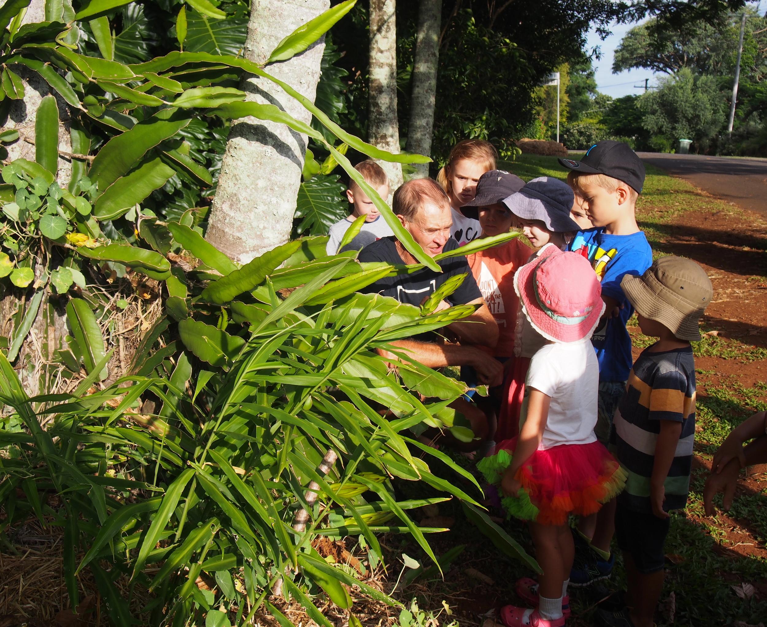 Explaining the art of growing dragon fruit.