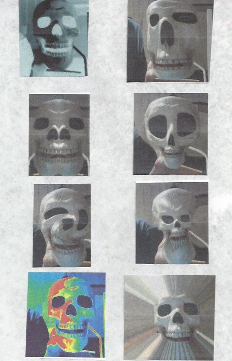 peter skulls.jpeg
