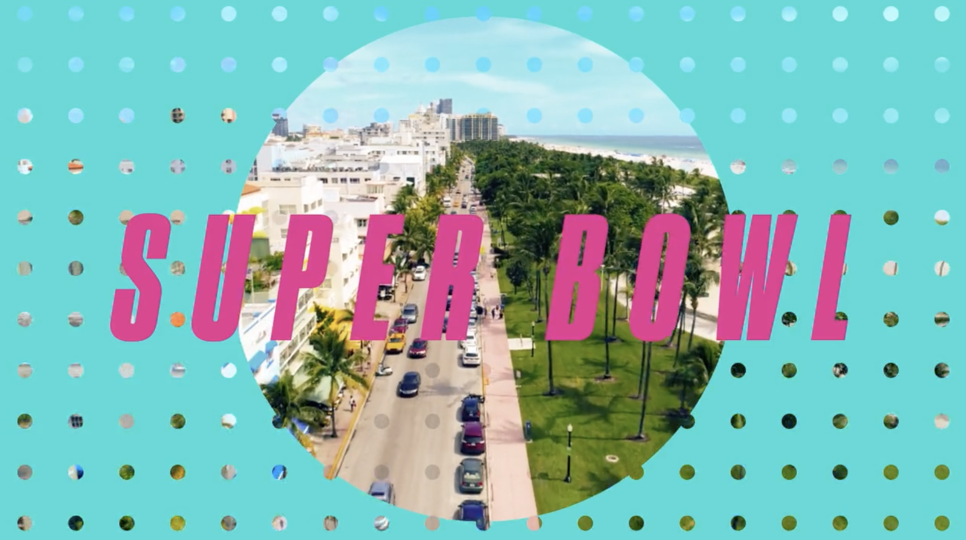 Beginners x Night Panda