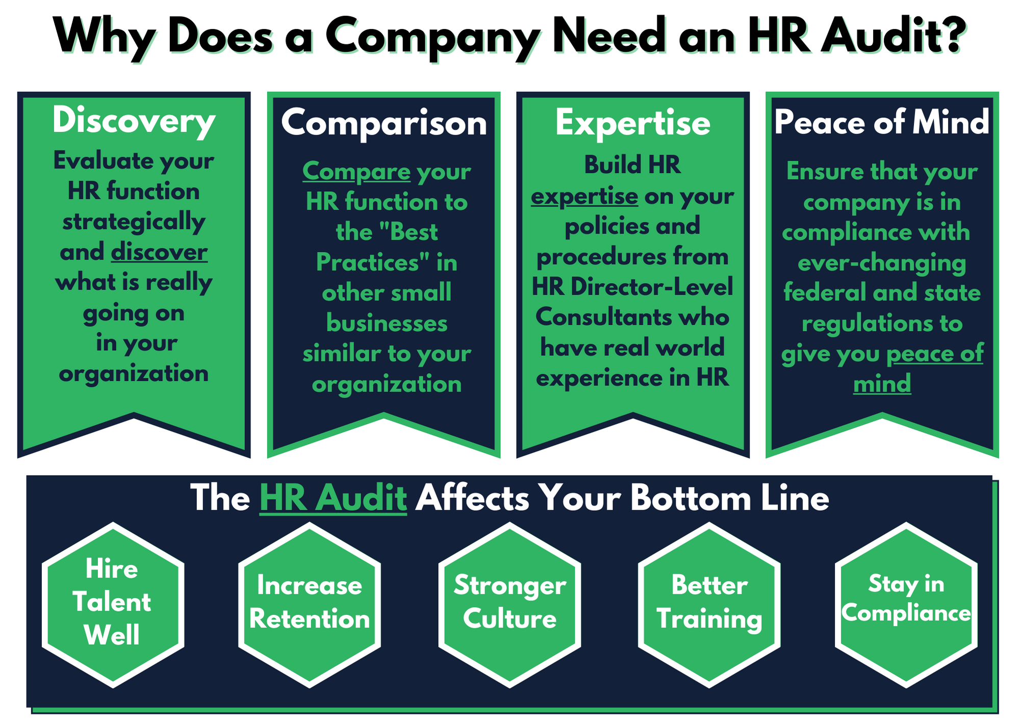 The HR Audit (2).png