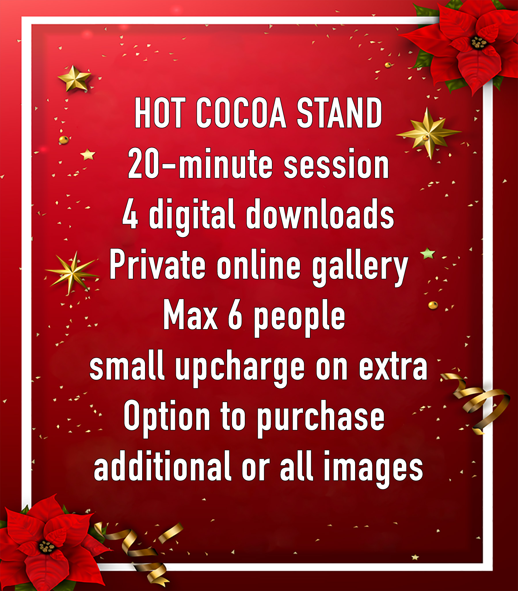 Christmas Mini salesign 2.jpg