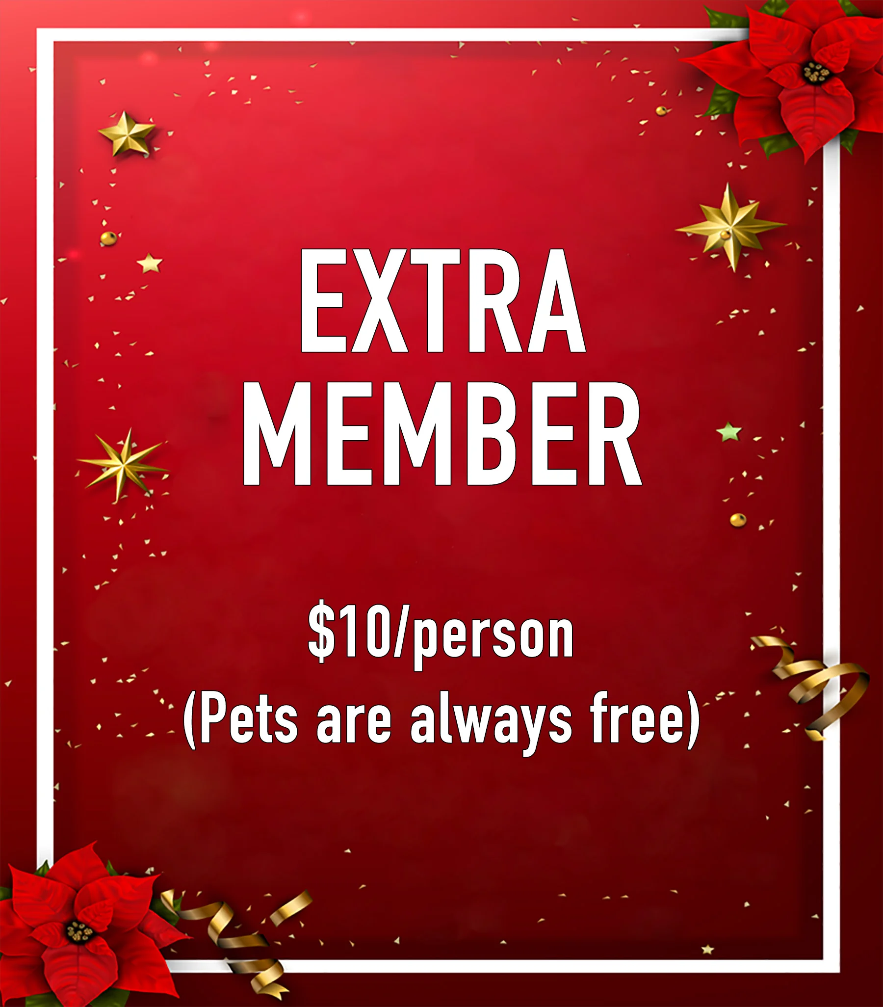 Christmas Mini extra member.jpg