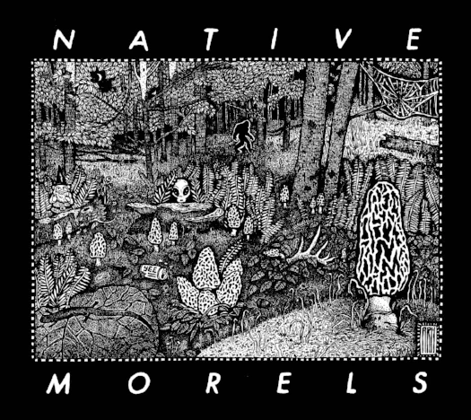 NativeMorels_MorelDream_Black_Flat_Web.jpg