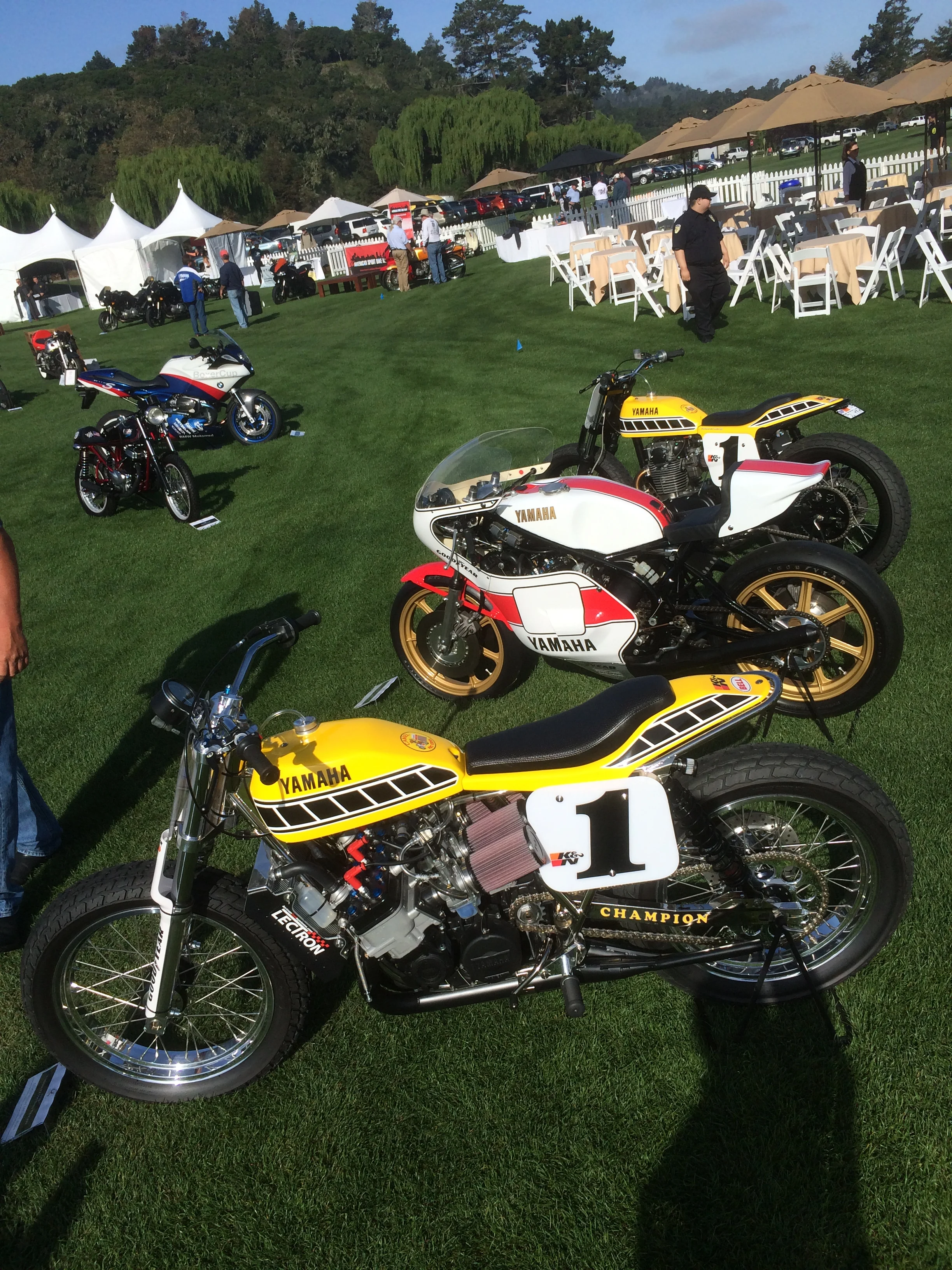 The Quail 2014