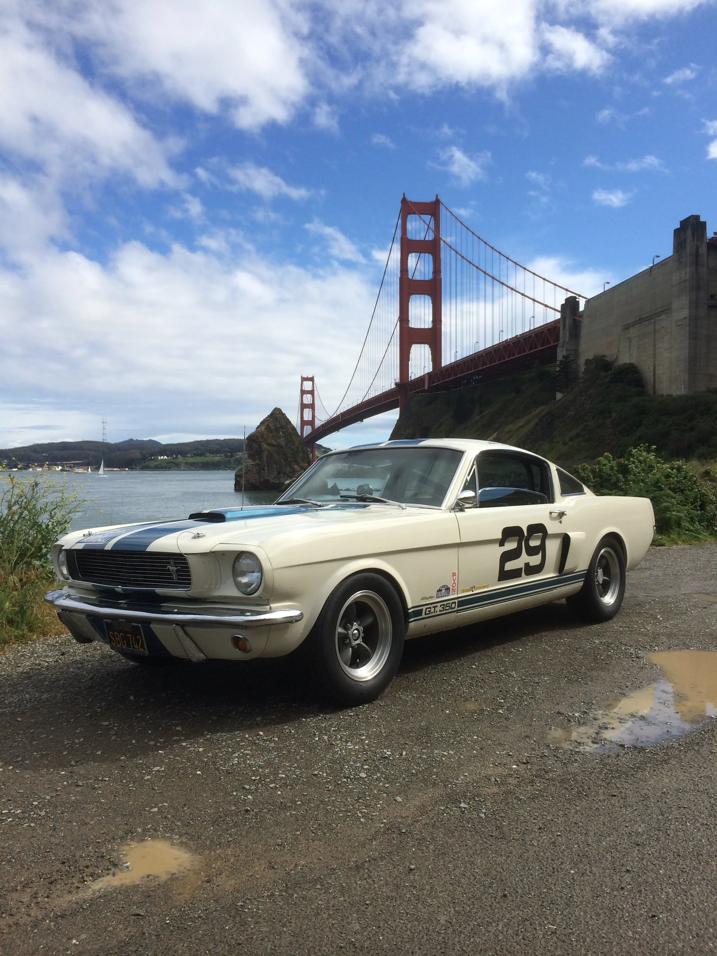 Jeff's 66' Gt350