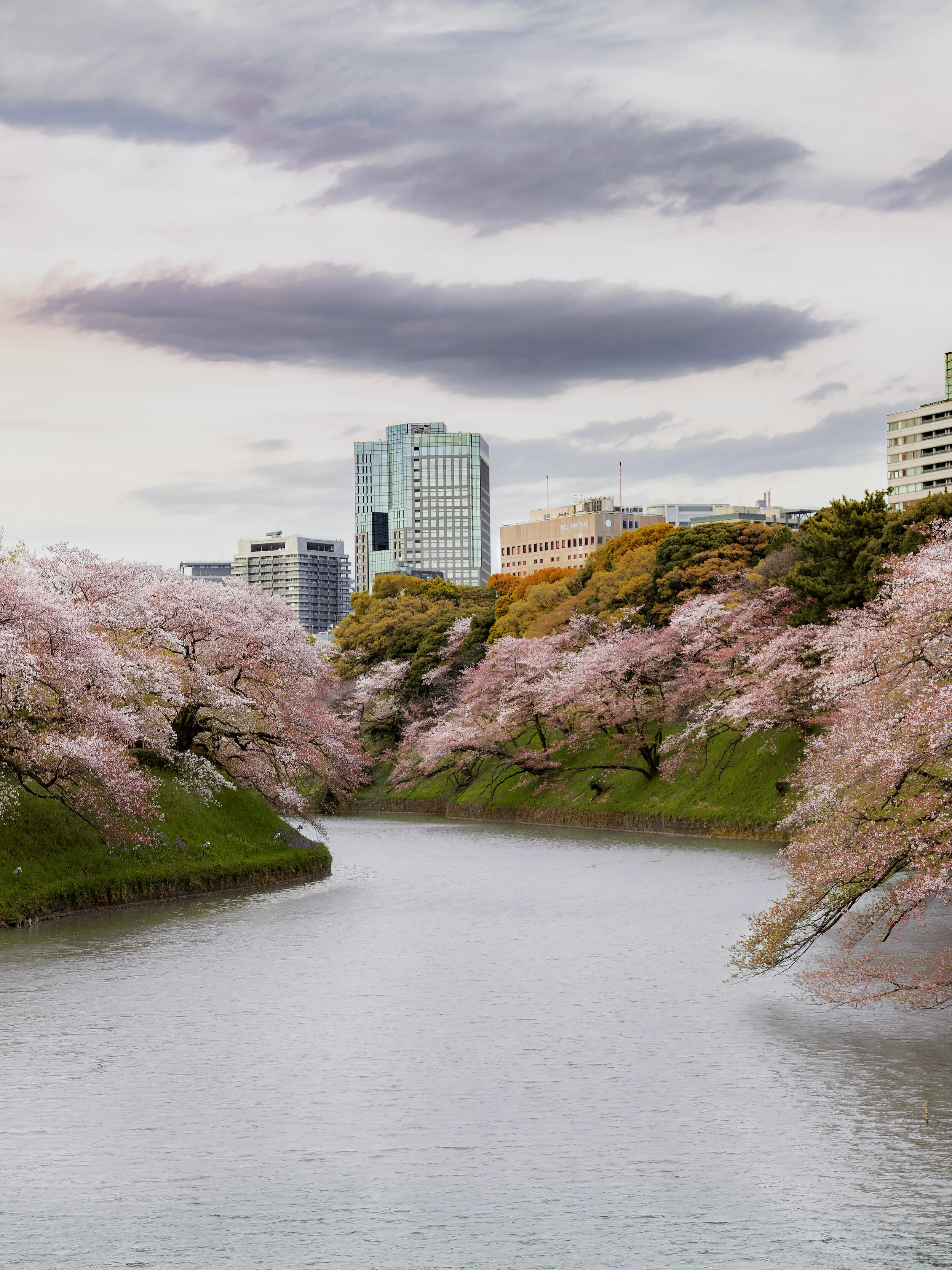Japan_Spring_River_VERT.jpg