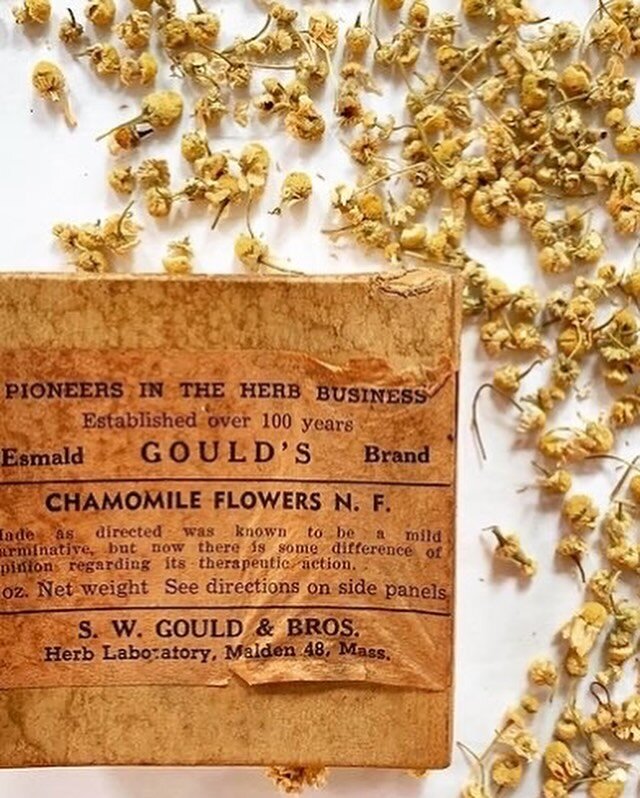 Benefits of Chamomile
Reduces redness: Chamomile calms redness because of its soothing properties. Redness is a side-effect of underlying inflammation. Chamomile soothing properties will leave the skin less red and irritated
Soothes sensitive skin: T