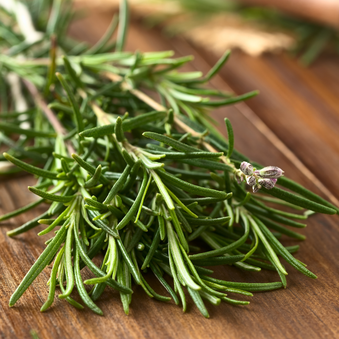 Discover the Skincare Benefits of Rosemary