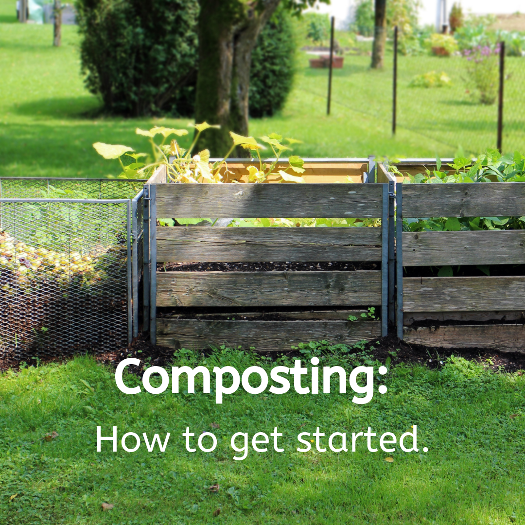 How to Start Composting at Home: A Beginner’s Guide