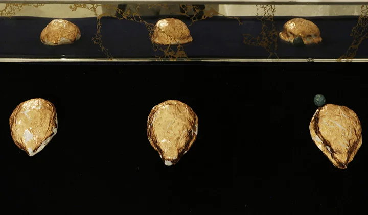 The Shell Game