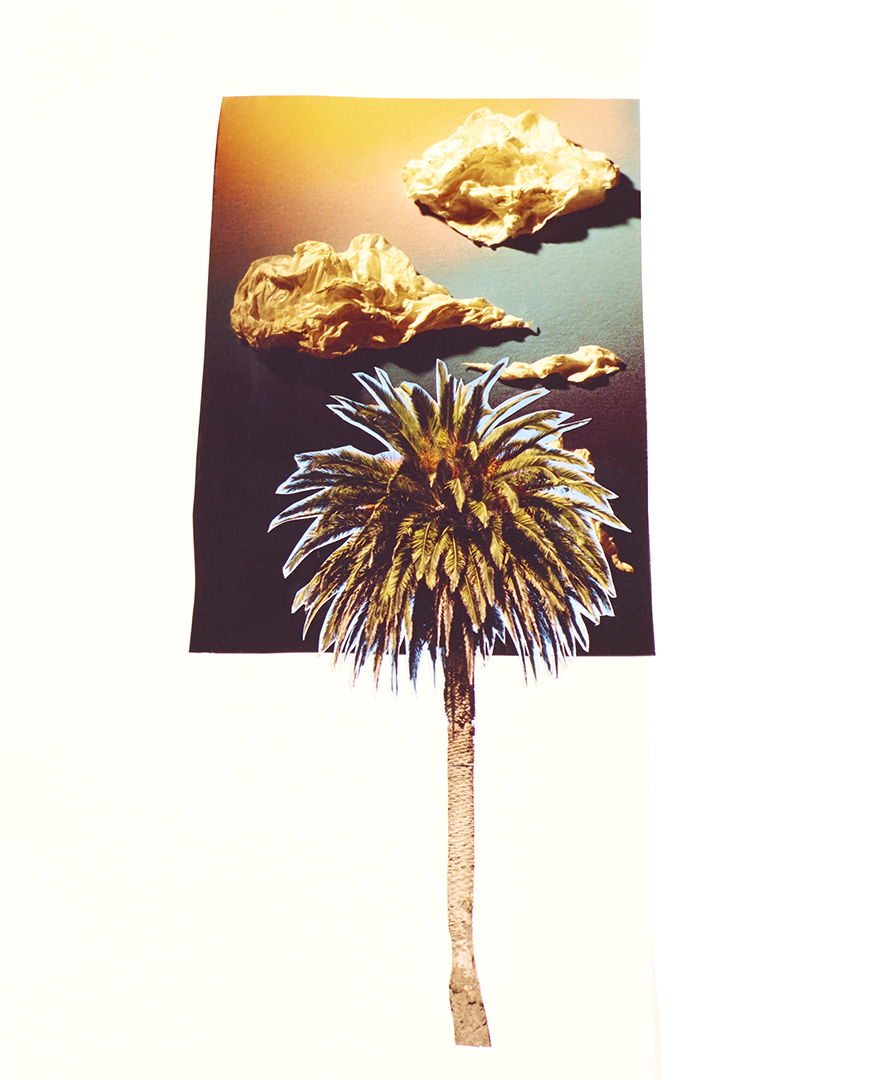 TINY_CALI_THINGS_03.jpg