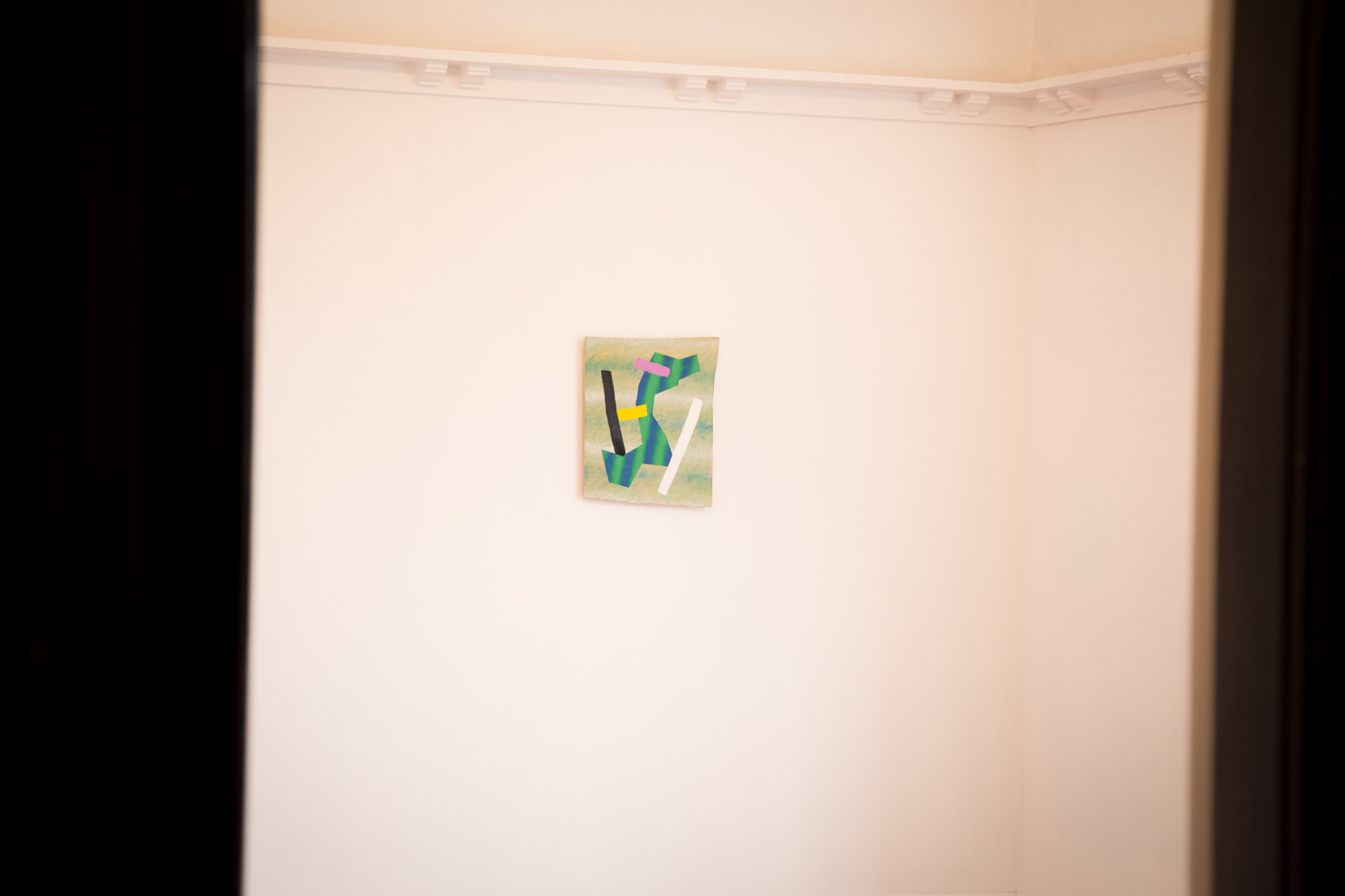 Install of 17 Paintings at The Young Photo courtesy Matt Bialostocki