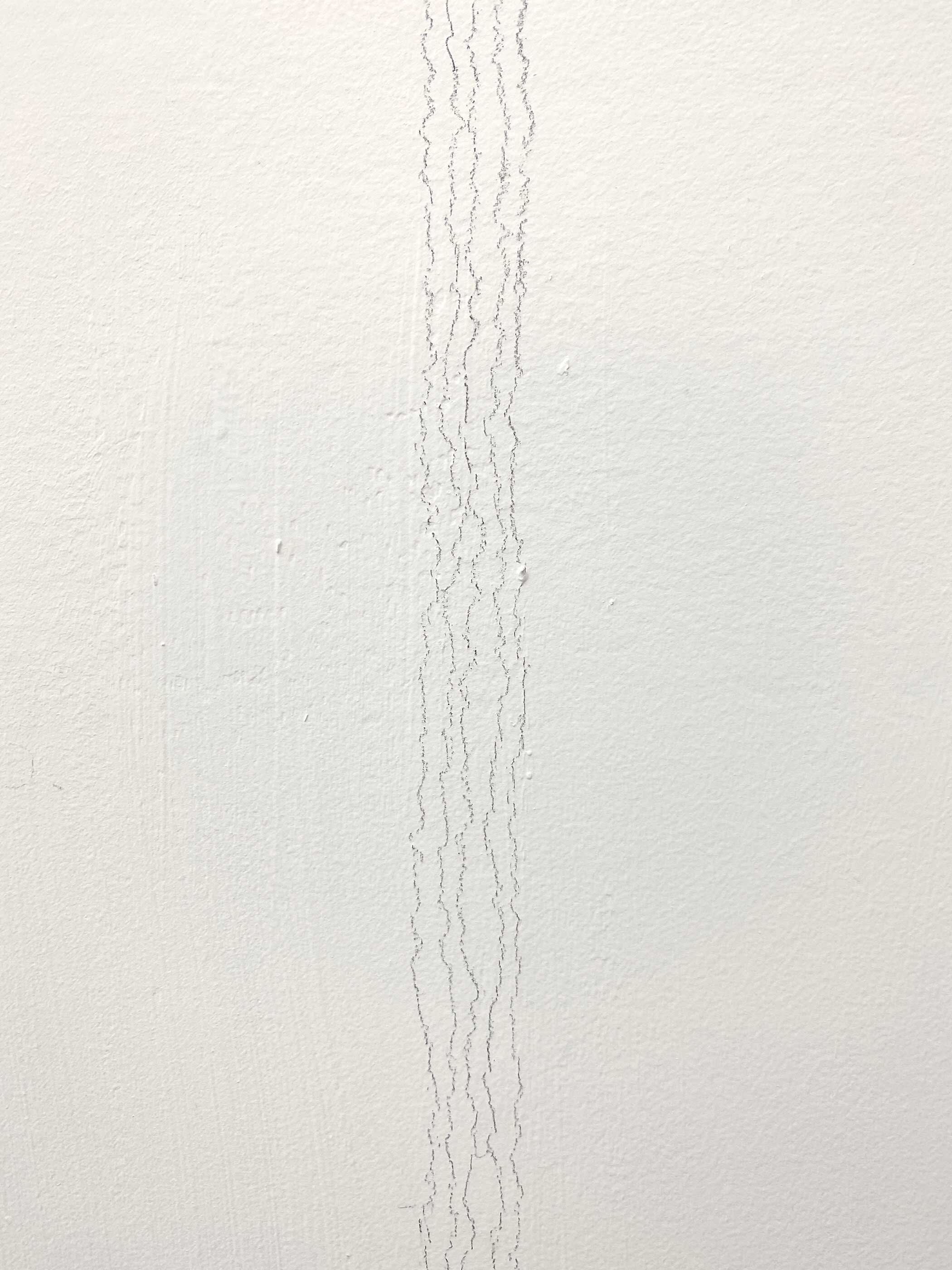  Detail of  Living Room: Actual Scale   Coloured pencil on wall  2020   