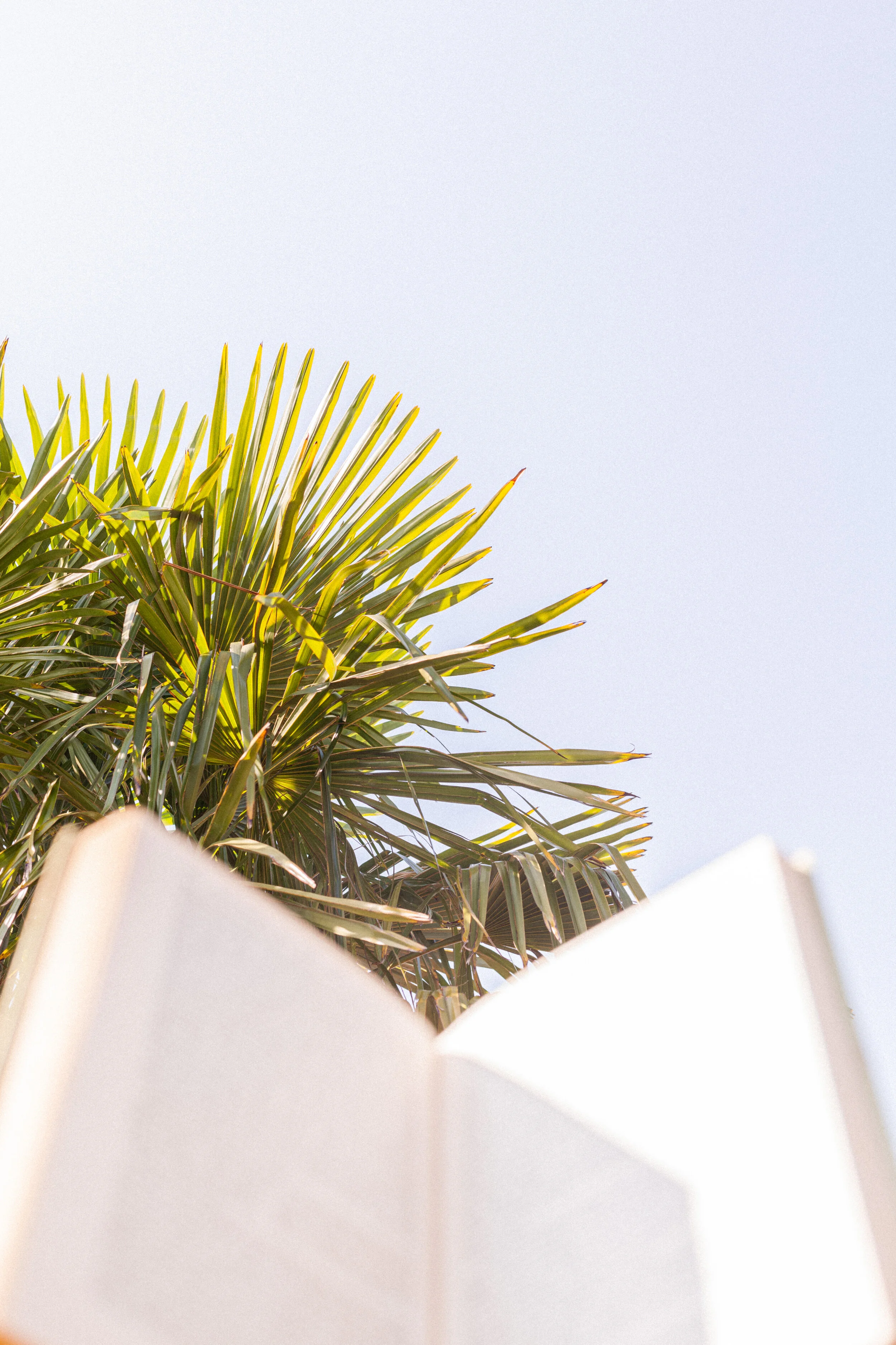 Dream Build Repeat #29 - How to share your story with confidence