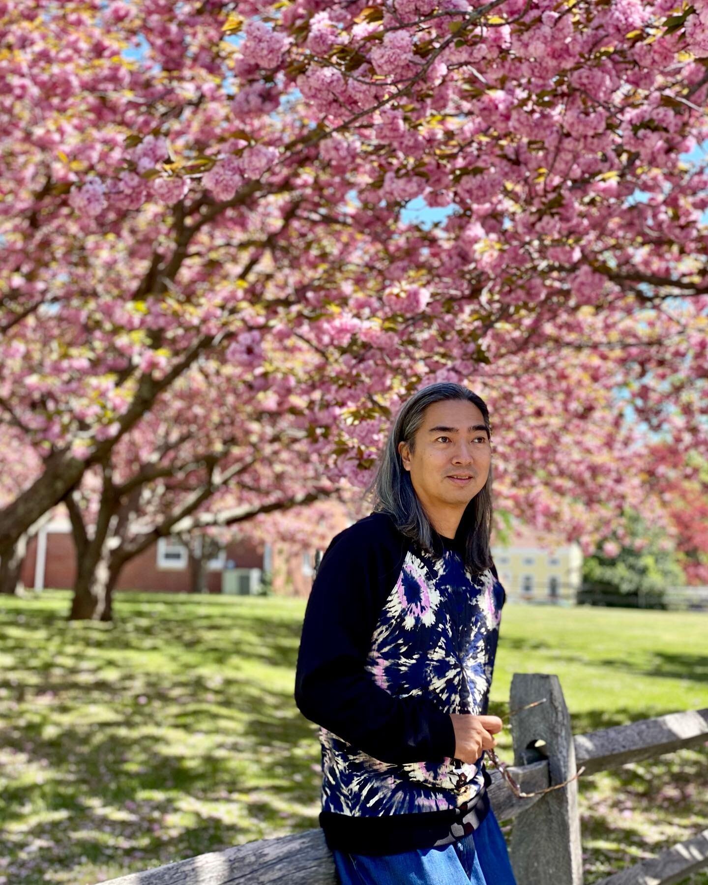 #canitellyou finally got some reprieve from all the rain. Go out there and enjoy the cherry blossoms while you can. / 🌸🌸🌸
.
.
.
#cherryblossomseason #seethemwhileyoucan #sakuraseason🌸 #aapiheritagemonth #veryasianandveryproud #northforkspring #ra