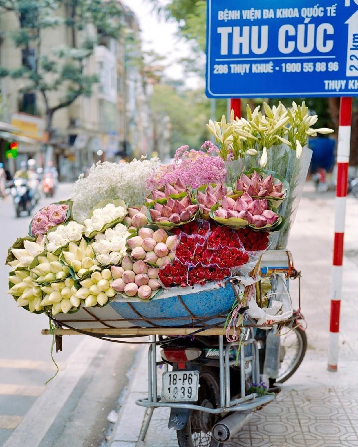 #canitellyou pimp my ride. 
This photo of a flower vendor in Hanoi was just too beautiful not to repost. Chris Wallace takes such evocative images with his camera. 
📷: @chriswallace4 / 👩🏼&zwj;🌾💐🛵
.
.
.
#flowervendorinvietnam #scenesfromhanoi #h