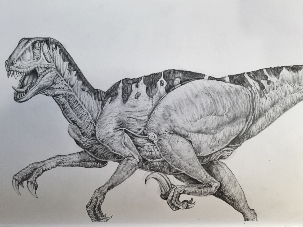 deinonychus.jpeg
