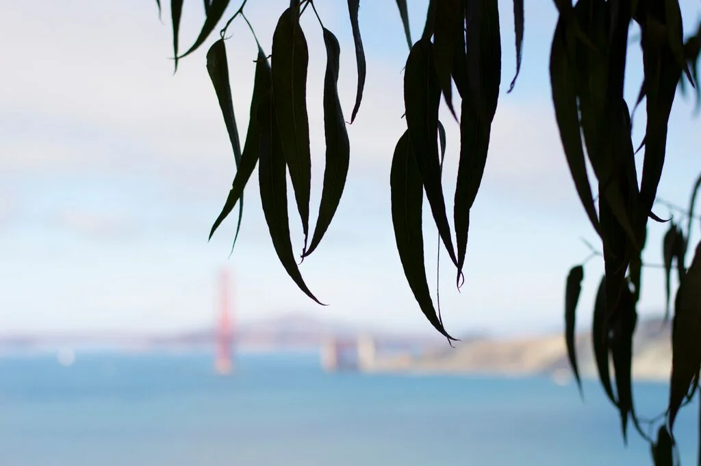 San Francisco 2015