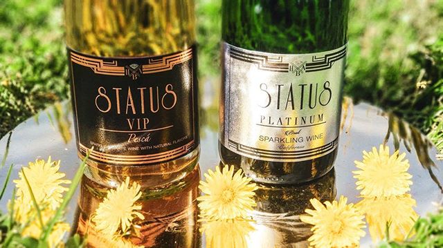 Have a sparkling day on us!!! What’s your STATUS?
.
.
.
.
.
#statussparklingwines #status #whatsyourstatus #mylacor #spring #springbreak #sunnyday #summer19 #sunflower #bubbly #sparklingwine #vip #brut #california #natural #flavors