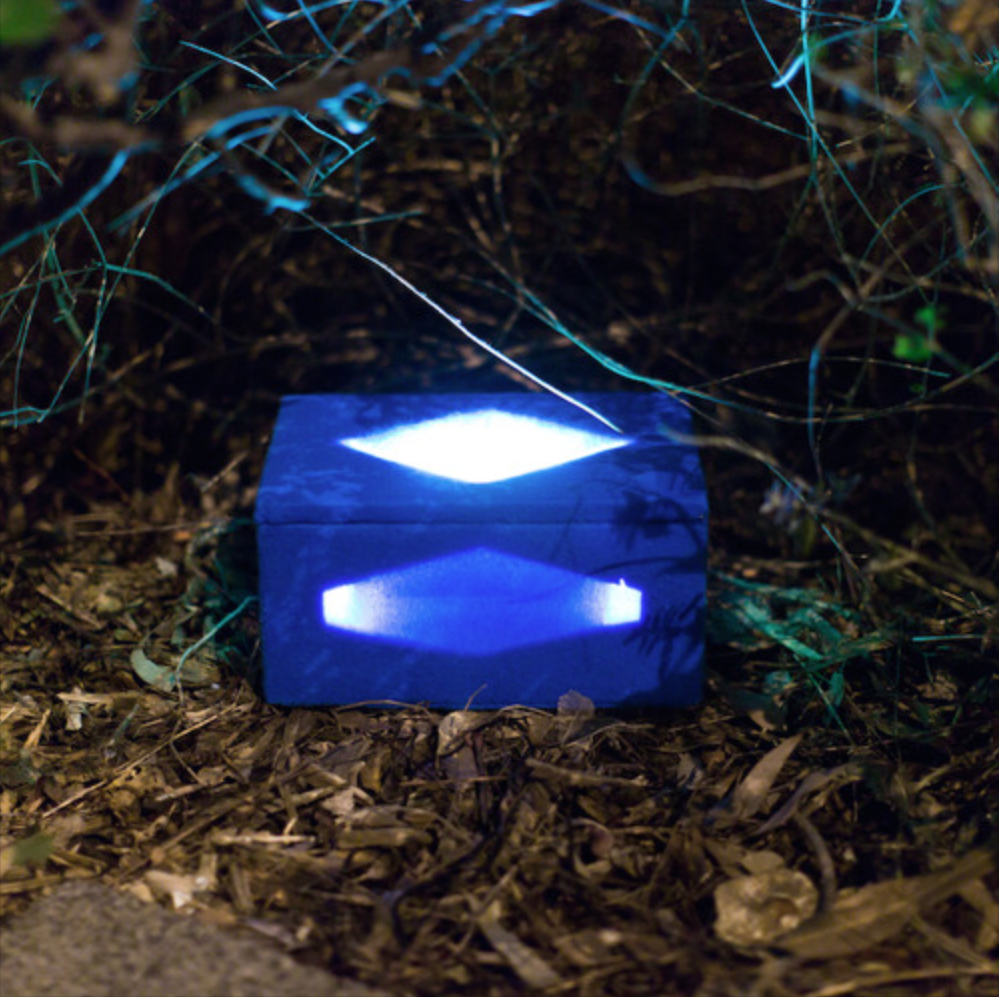 Photo by Lauren Dunn ©&nbsp;2015