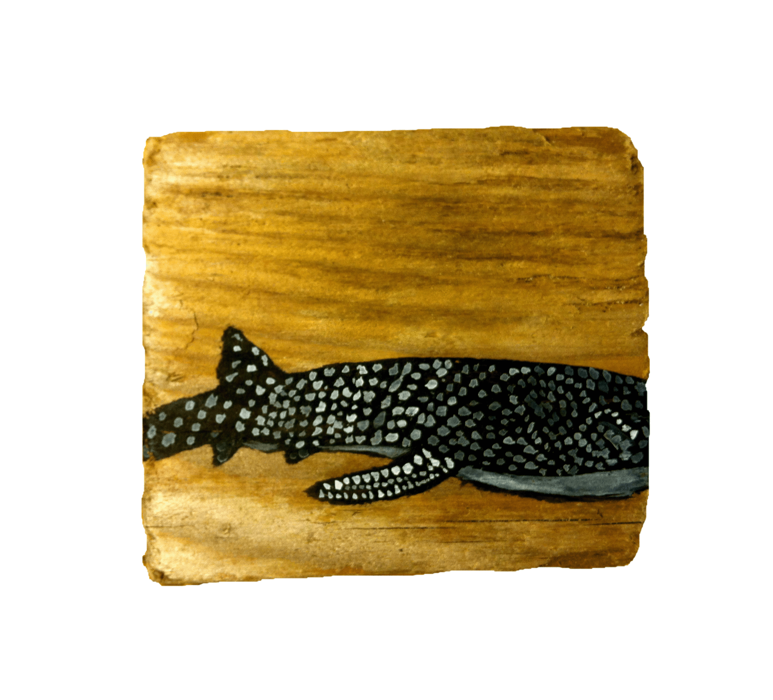 Whaleshark