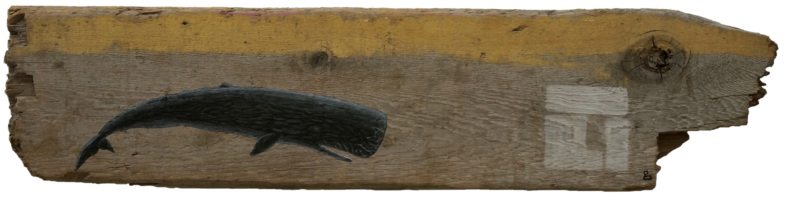 Sperm Whale