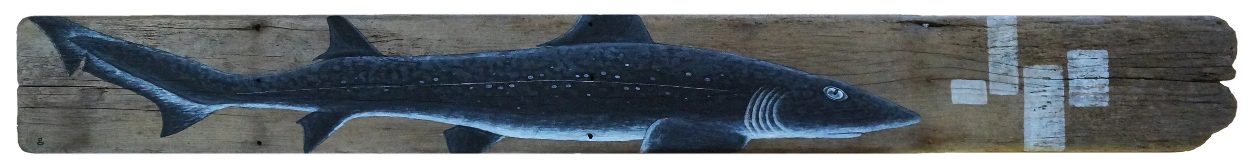Dogfish