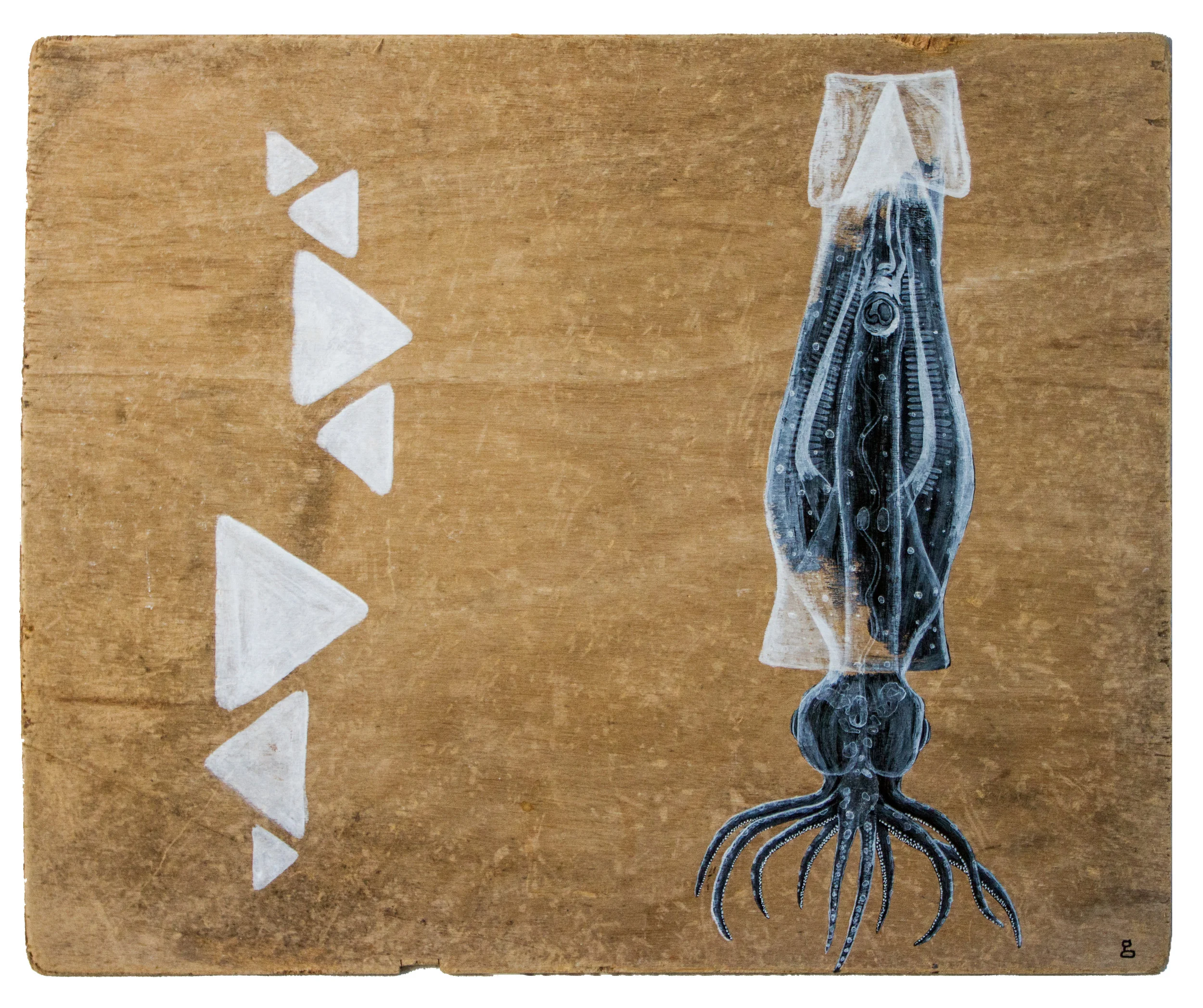 Black Eyed Squid