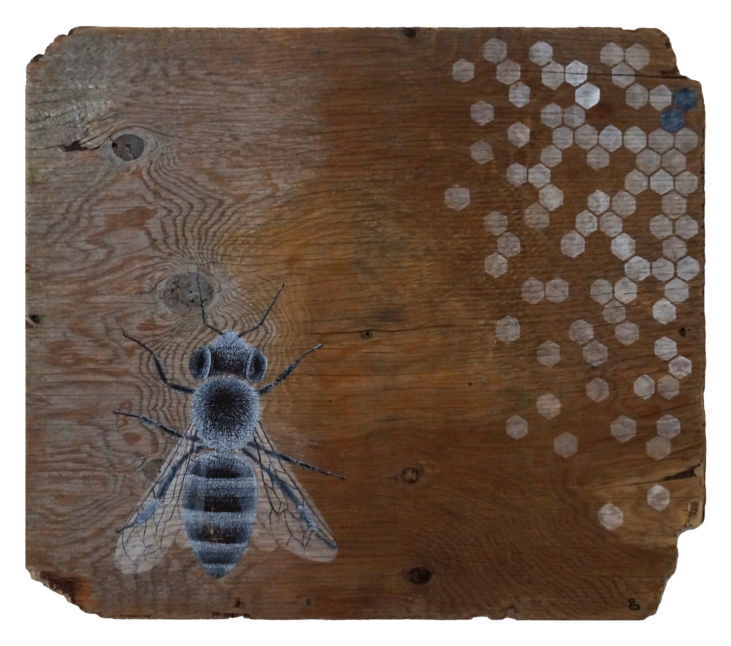 Honey Bee