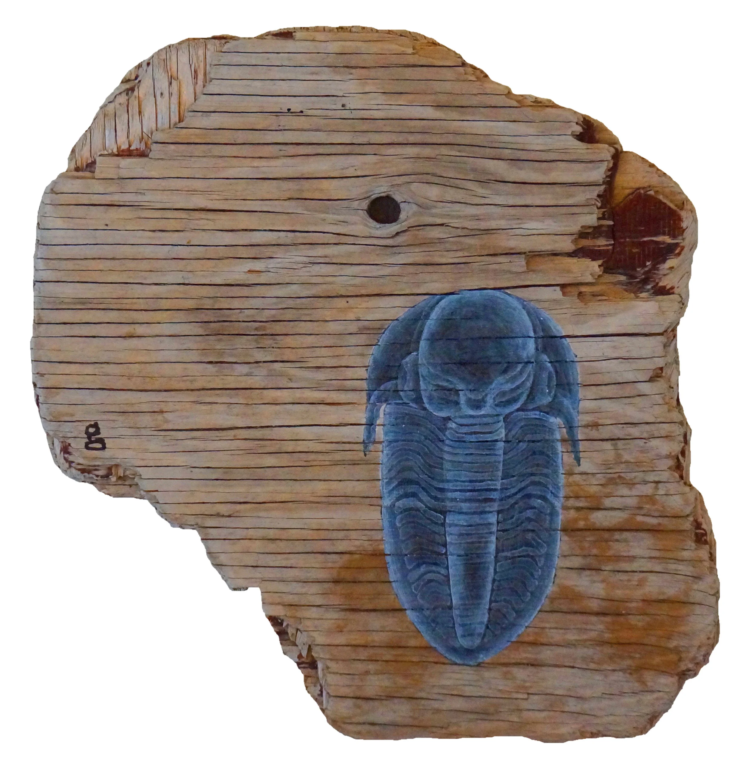 Trilobite