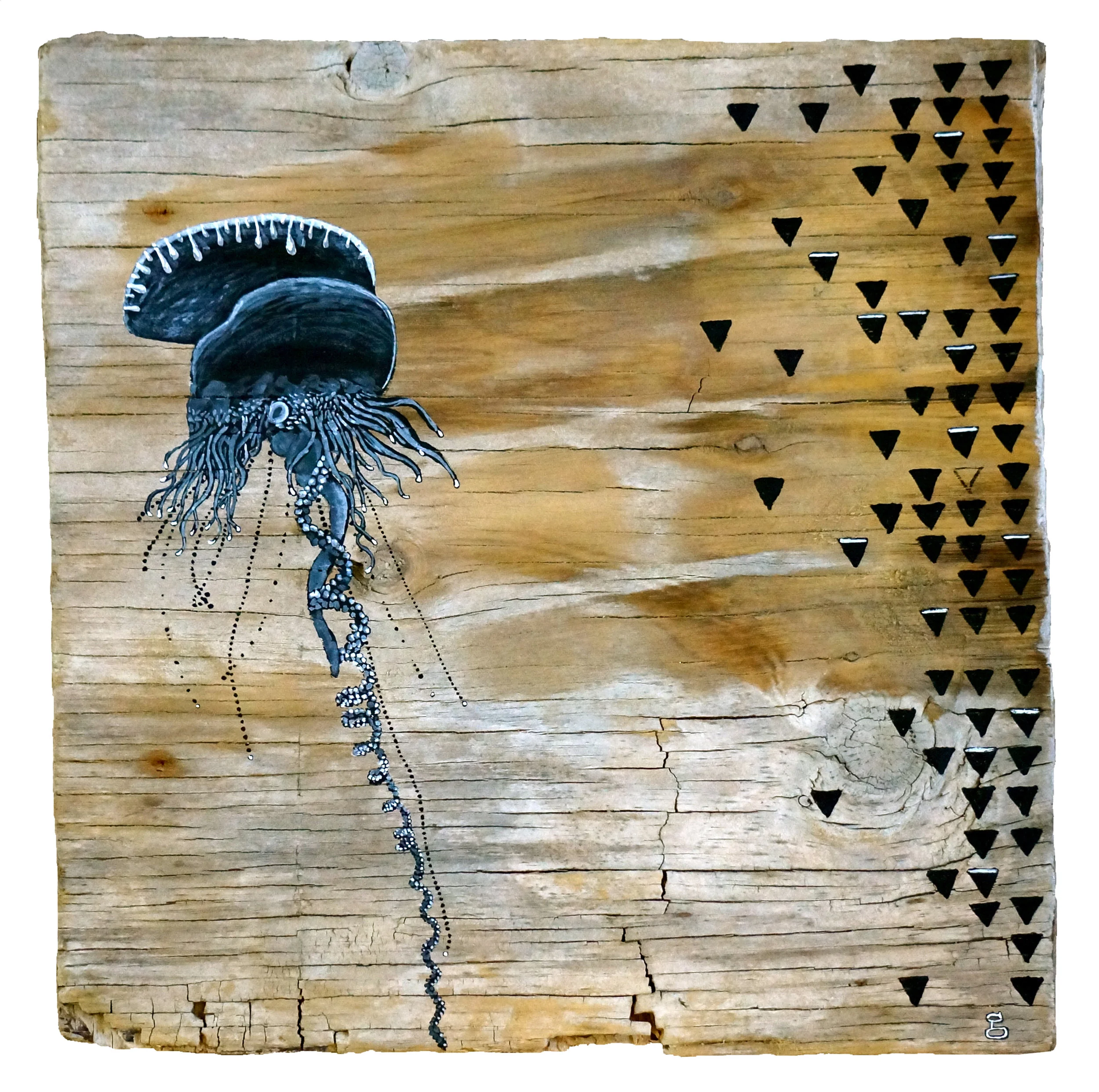 Bluebottle