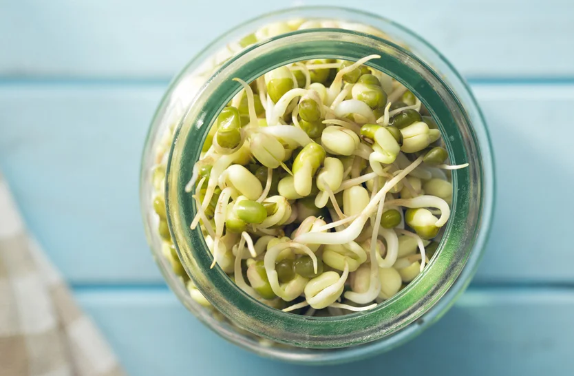 sprouts2.jpg