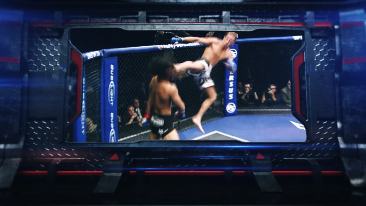 ufc_140_open_01_00095.jpg