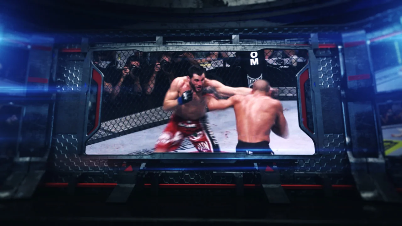 ufc_140_open_01_00130.jpg
