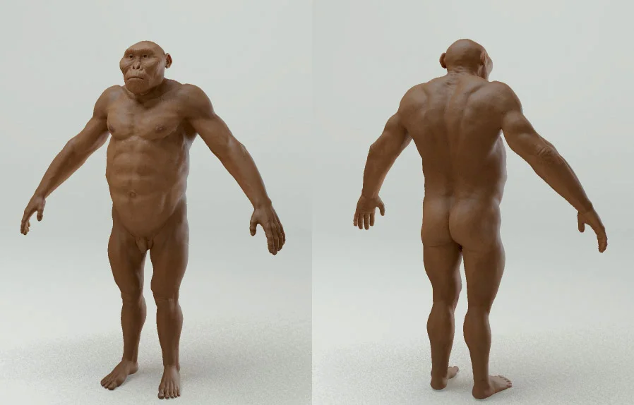 Bosei_WIP_05.jpg