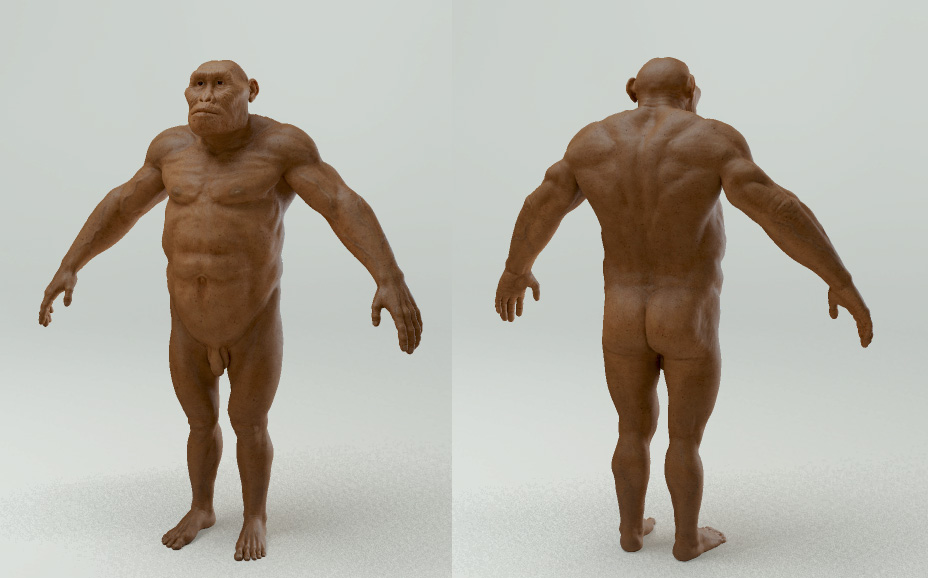Afarensis_WIP_05.jpg