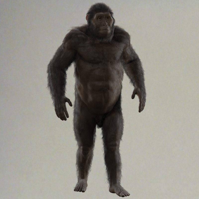 TT_afarensis_pose_01_hair_00000.jpg