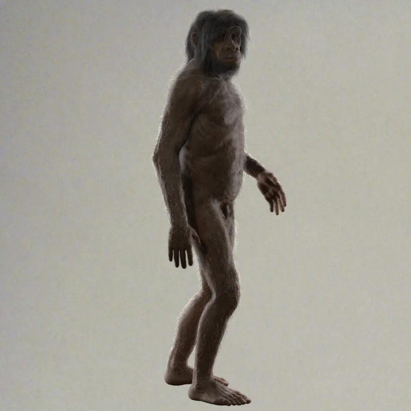 TT_erectus_pose_02_hair_00000.jpg