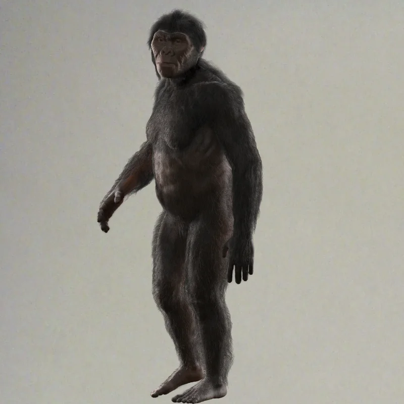TT_robustus_pose_02_hair_00000.jpg