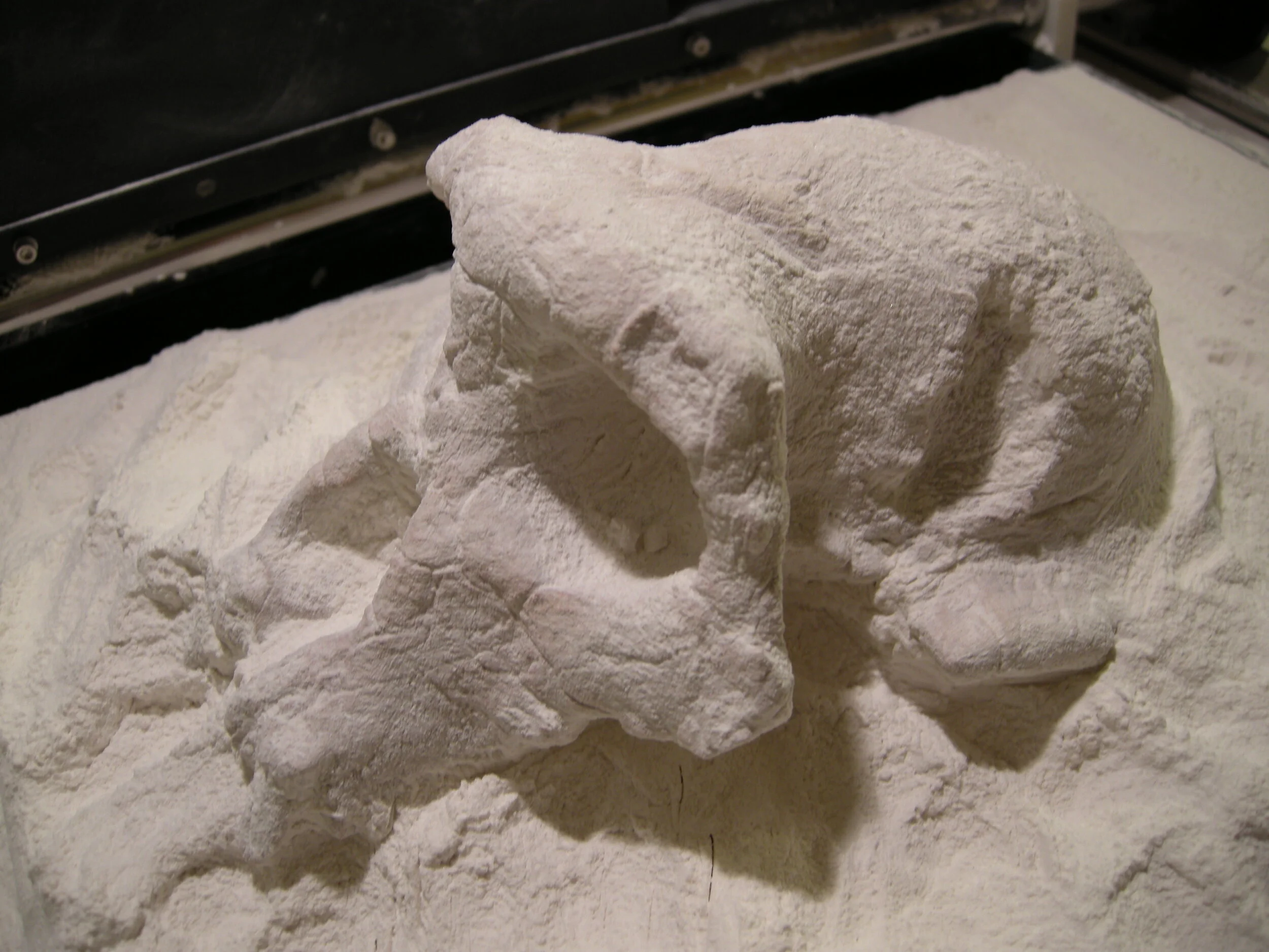DSCN4698.jpg