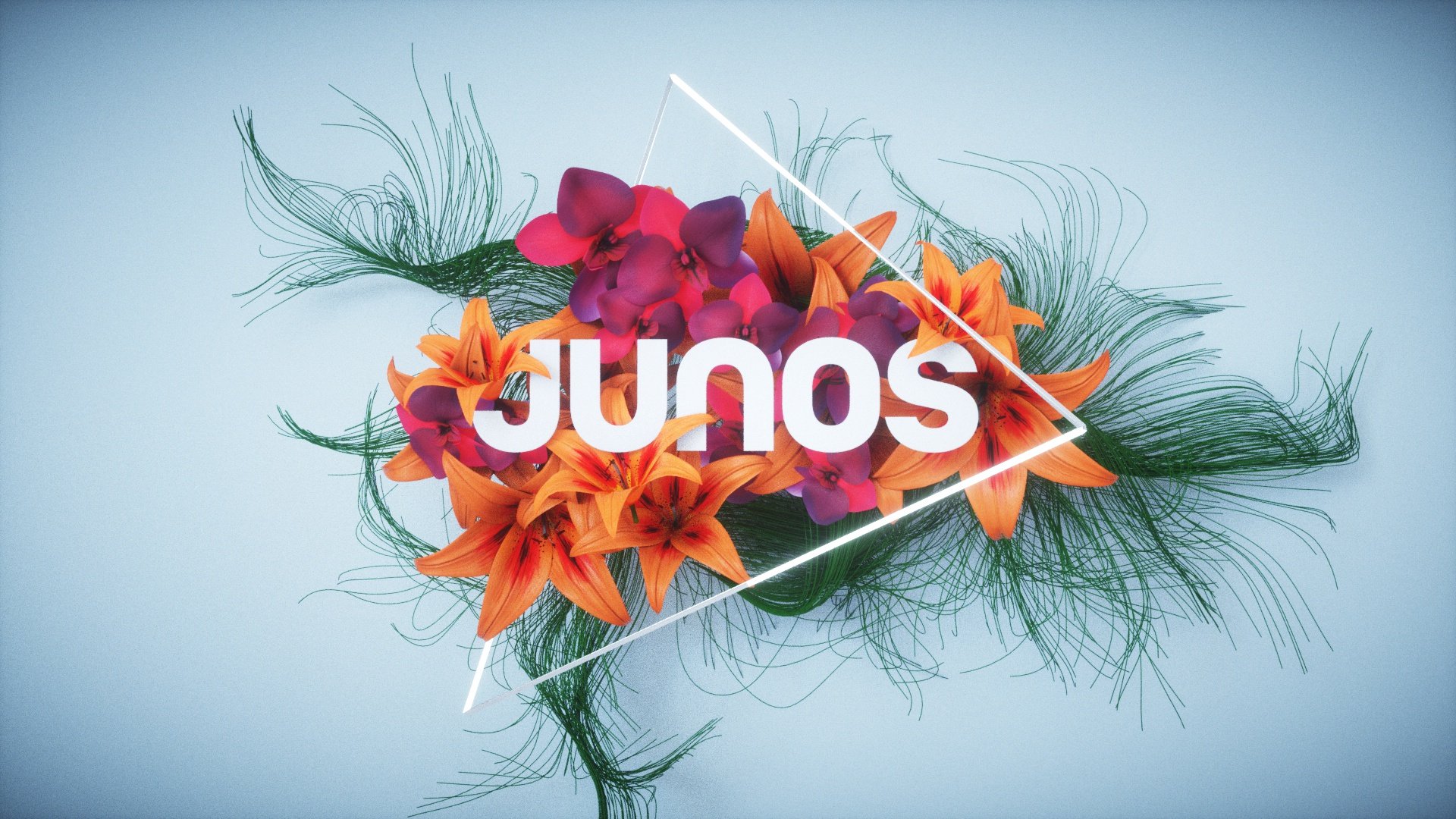 Junos_pitch_03.jpg