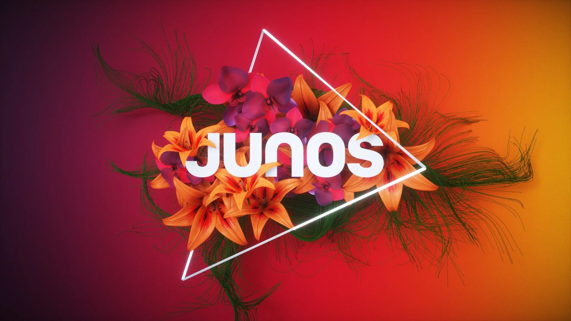 Junos_pitch_04.jpg