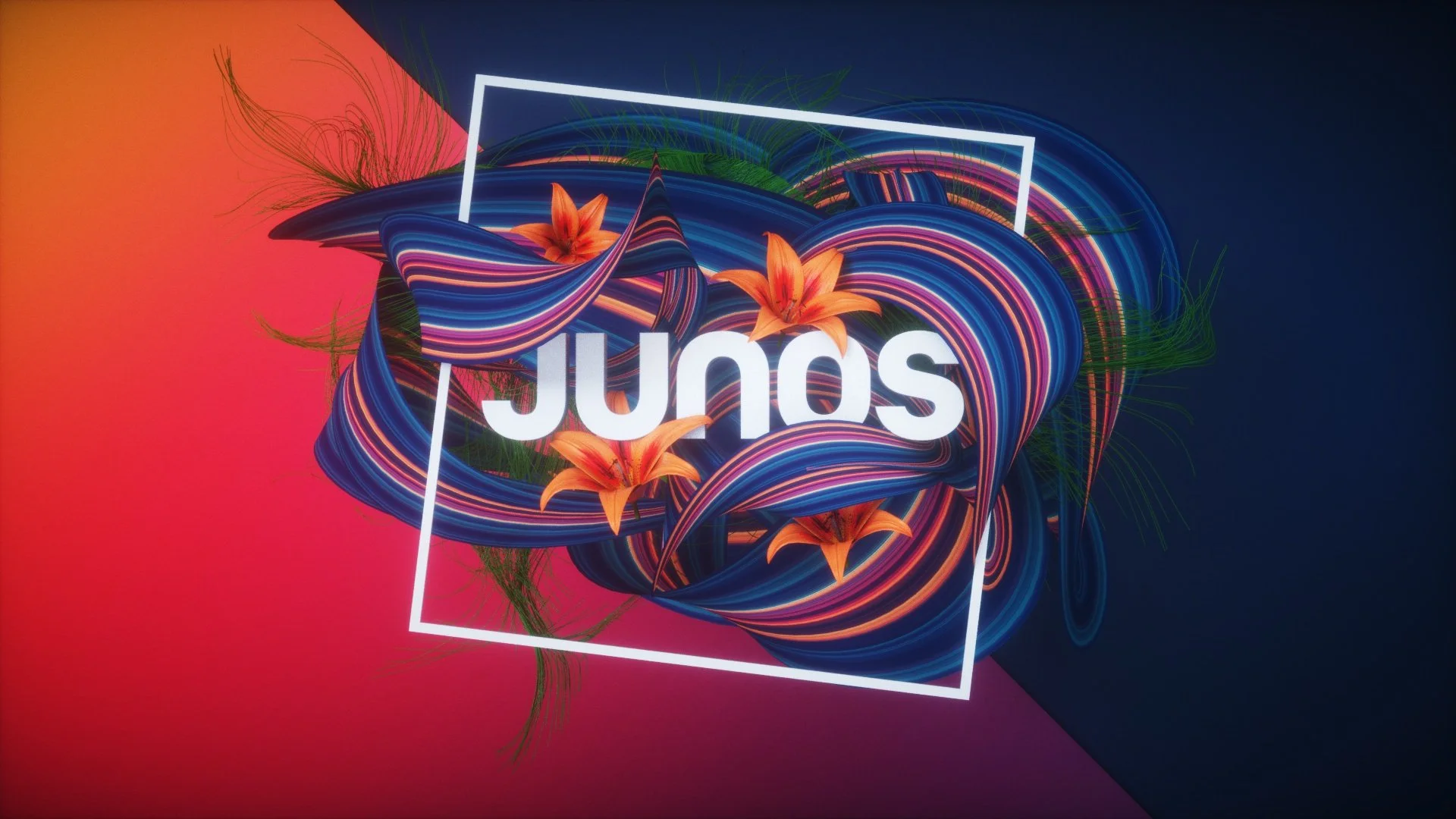 Junos_pitch_concept_B_04.jpg