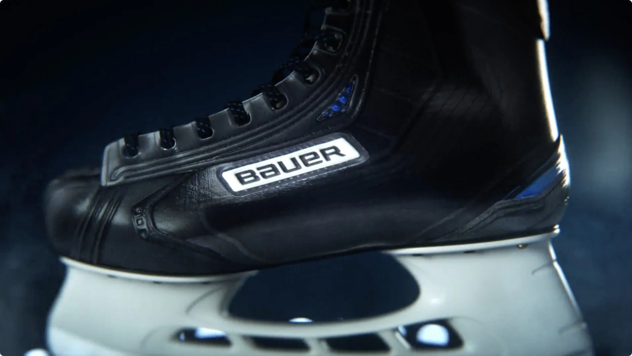 Bauer_06.jpg