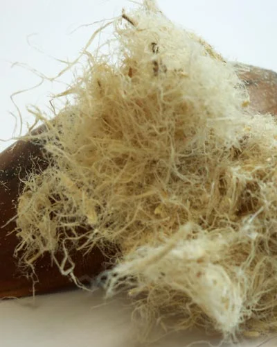 slippery-elm-bark-cut-pile.jpg