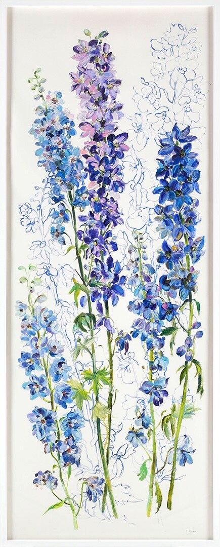 Delphiniums-Protection