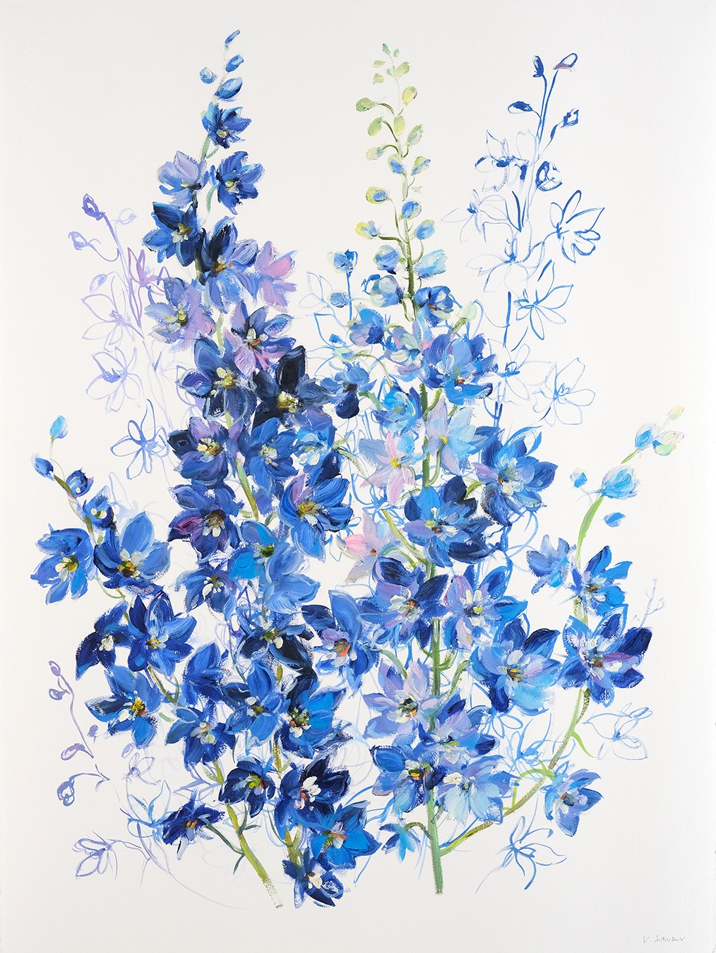 Delphiniums- Tall Spines of Blue