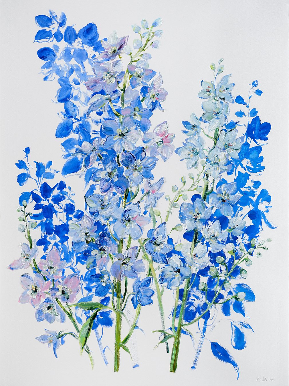 Delphiniums- Early Summer Blues
